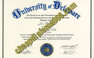 University of Delaware fake degree