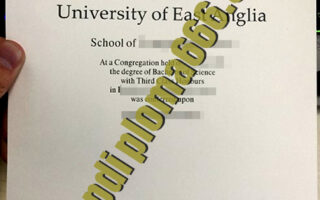 fake University of East Anglia degree