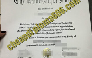 fake University of Florida degree certificate