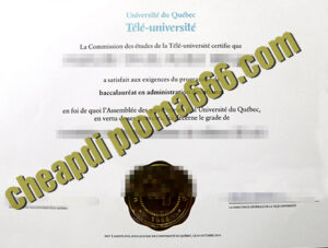 buy Université du Québec à Chicoutimi degree certificate