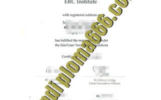 buy ERC Institute Singapore degree certificate