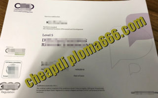 fake CIPD degree certificate