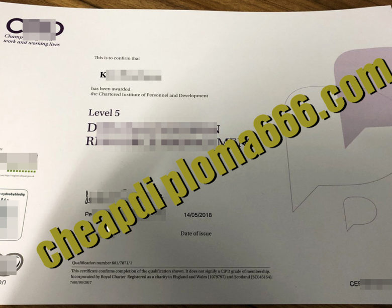 fake CIPD degree certificate
