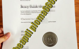 Chartered Accountant certificate
