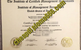 buy Certified Management Accountant degree