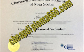 fake CPA certificate