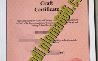 buy Craft certificate