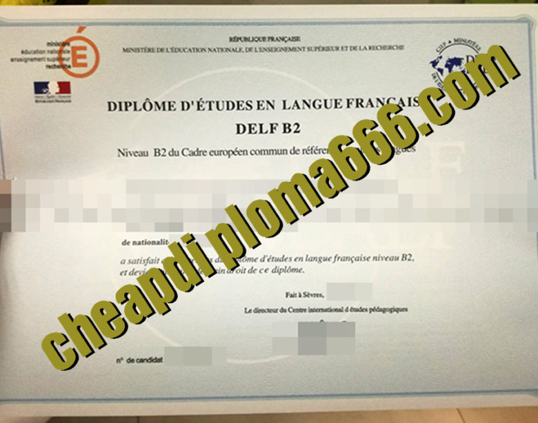 fake DELF degree certificate
