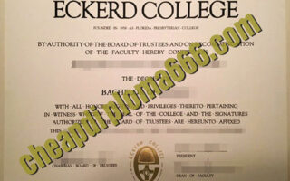 buy Eckerd College degree certificate