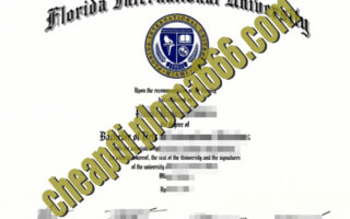 Florida International University fake degree certificate