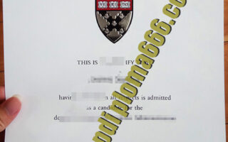 fake Harvard Business School degree certificate