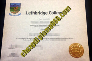 buy Lethbridge college degree certificate