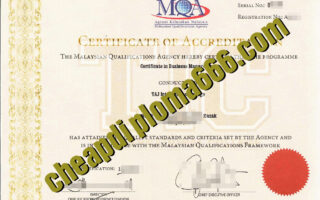 buy Malaysian Qualifications Agency certificate