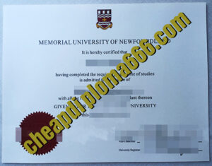Memorial University of Newfoundland degree certificate